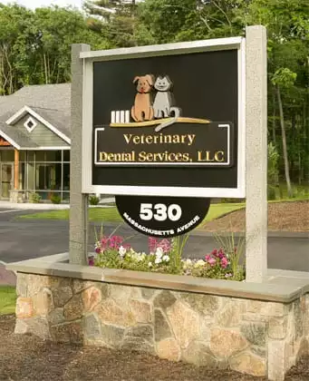 Veterinary Dental Services sign outside of the animal hospital