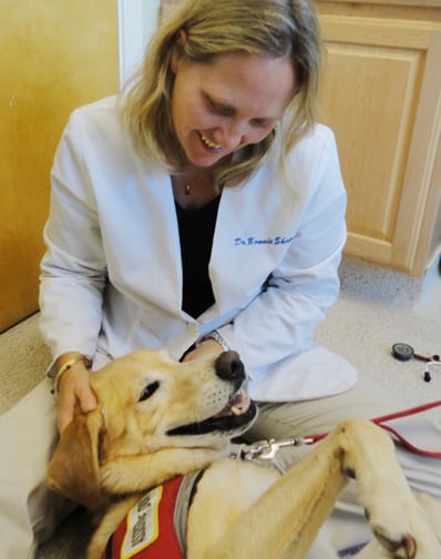 Review Veterinary Dental Services in Boxborough