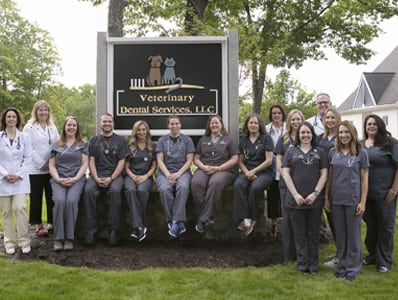 Veterinary Dental Careers in Boxborough