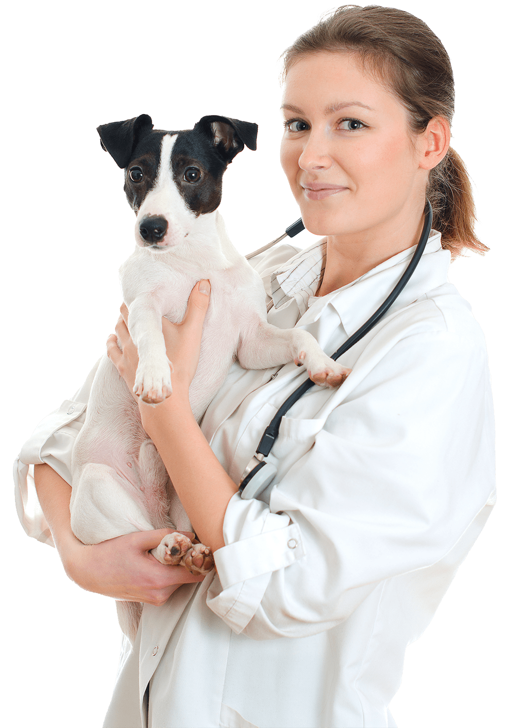 female veterinarian in lab coat holding black and white dog