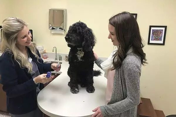 dog owner and her dog in for an exam