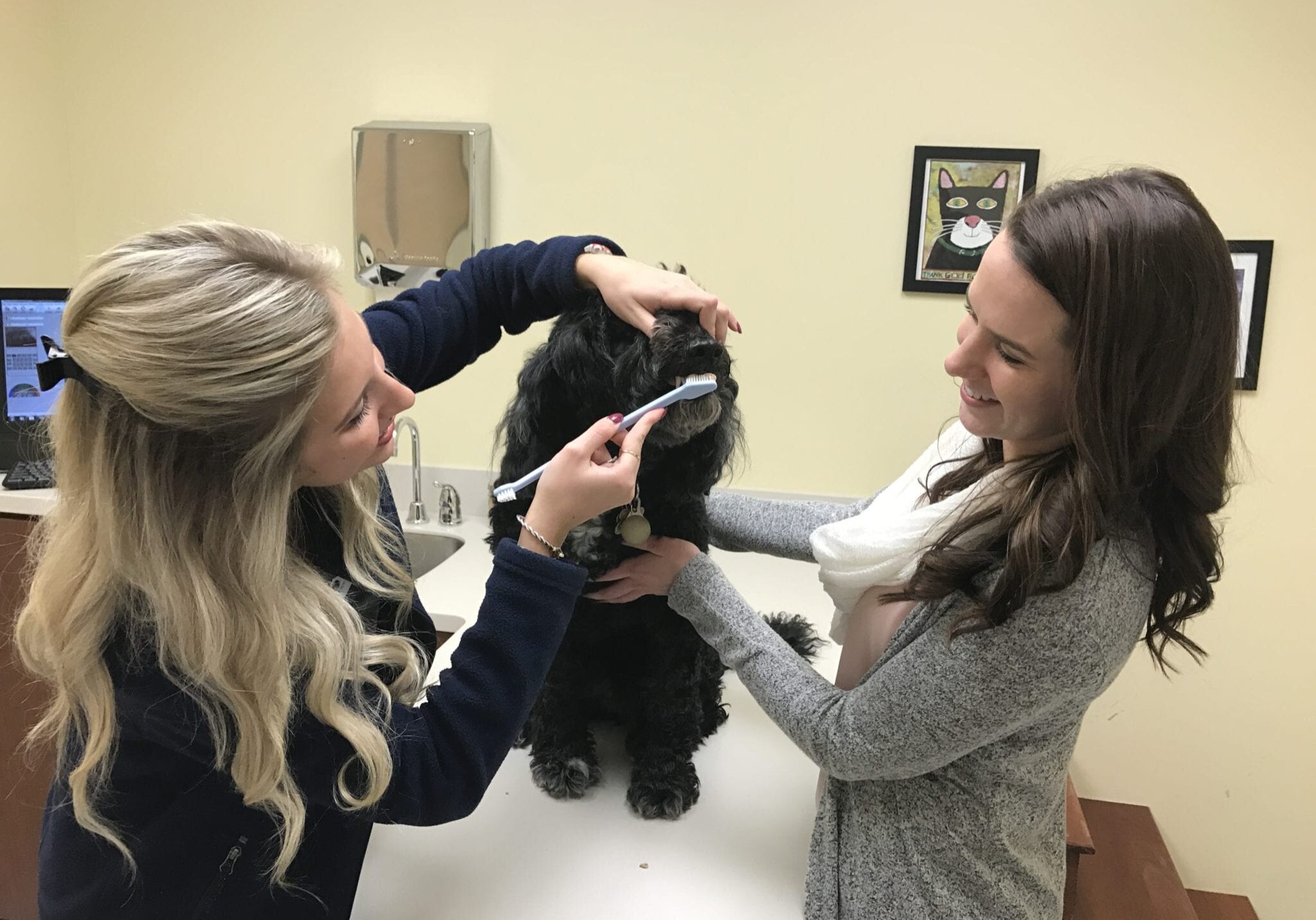 veterinarian showing a pet owner how to brush her dogs teeth